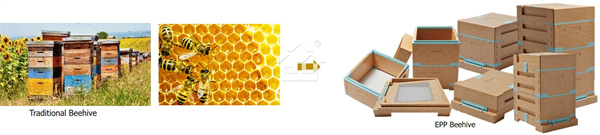 EPP 蜂(feng)箱2 EPP 蜂(feng)箱2