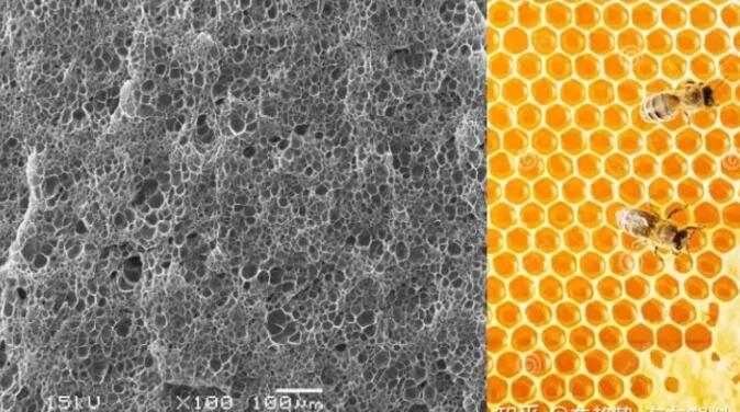 epp發(fa)泡聚丙烯(xi)的顯微結(jie)構，可以看(kan)到這是種(zhong)連續閉孔(kong)結構，類似(si)于蜂窩